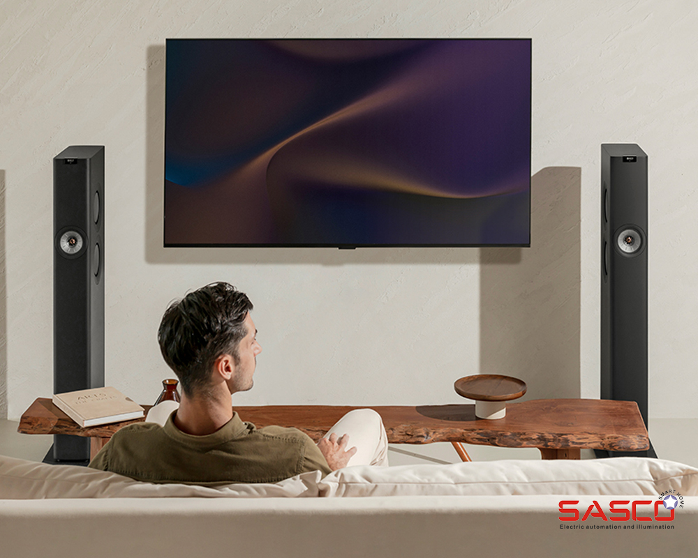 Audio Visual Systems For The Home